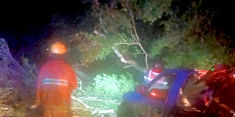 En Puerto Esperanza, una motocicleta Corven que circulaba en sentido norte-sur por la ruta nacional 12 terminó chocando contra un árbol.
