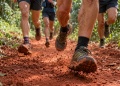 Del Salto Berrondo a las chacras: Oberá prepara su primera carrera de trail running